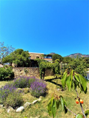Mas Olivella Casa Principal